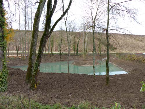 Aménagement du terrain aux alentours du lavoir